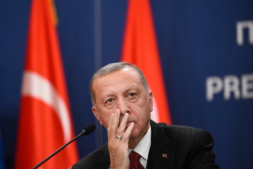 Erdoğan, livre turque