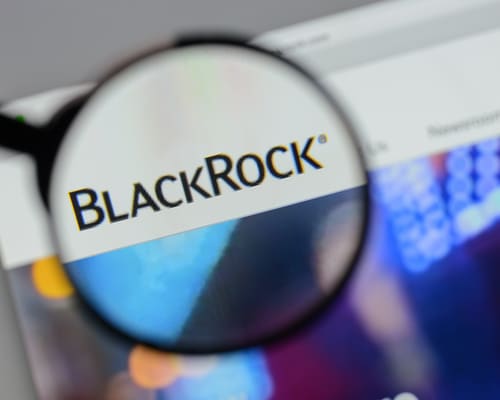 BlackRock, woke, investissement