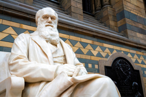 Darwin, évolution, progrès, révolution industrielle