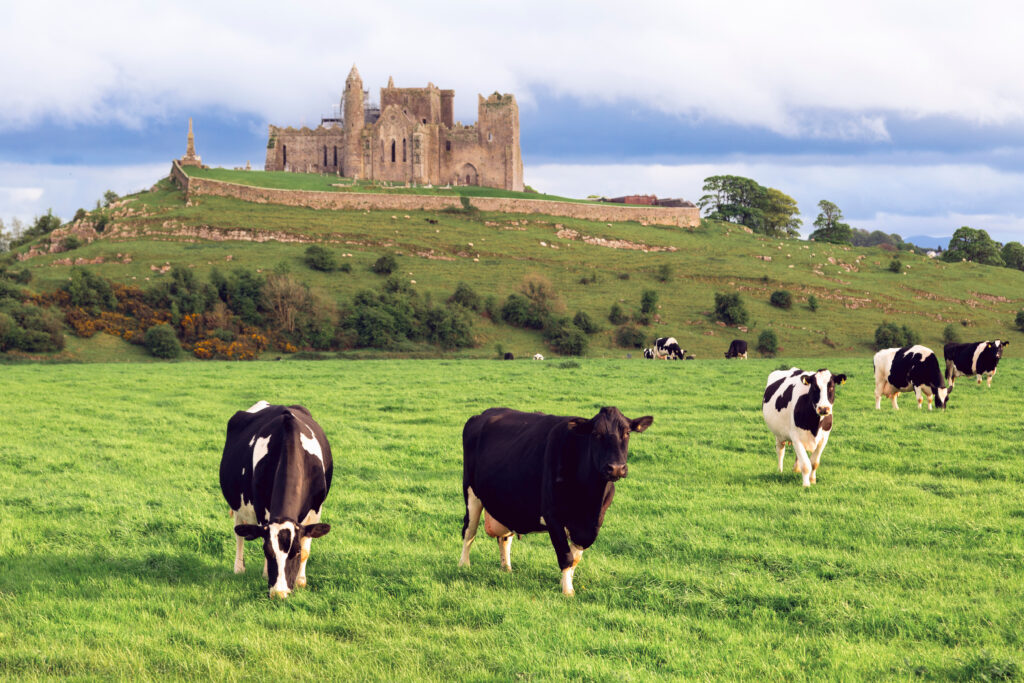 Rock-of-Cashel-irlande-Tipperary