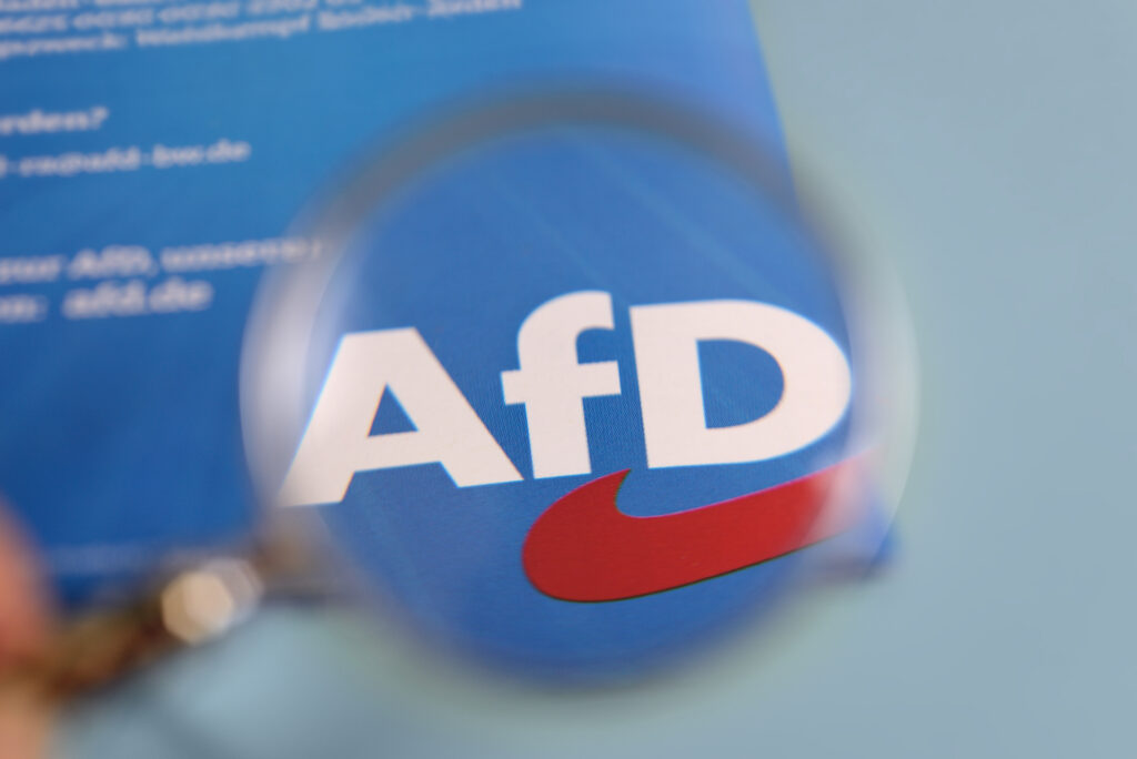 partis-politiques-afd-allemagne